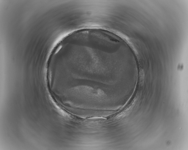 X0000094811424200711301541