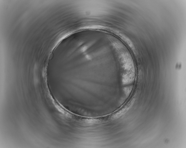 X0000094811425200711301541