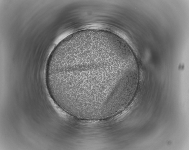 X0000094811426200711301541