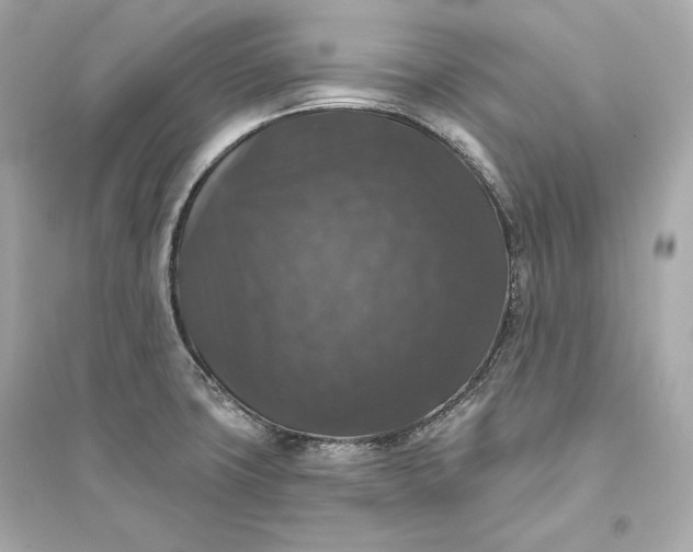 X0000094811427200711301541