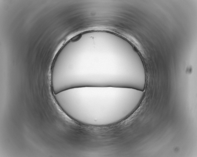 X0000094811428200711301542