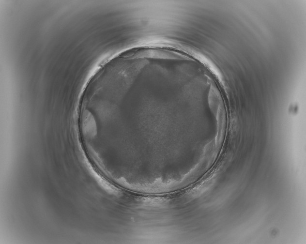 X0000094811429200711301542