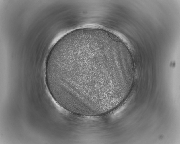 X0000094811430200711301542