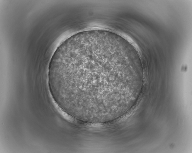 X0000094811431200711301542