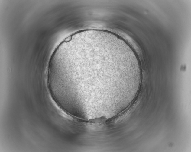 X0000094811432200711301542