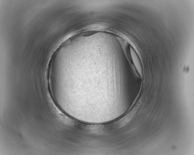 X0000094811434200711301542