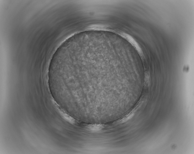 X0000094811435200711301542