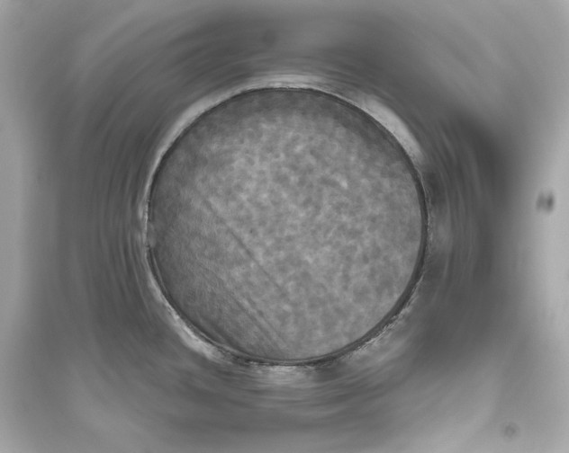 X0000094811436200711301542