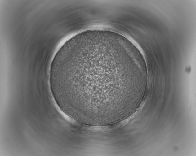 X0000094811437200711301542