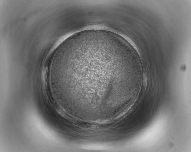 X0000094811438200711301542