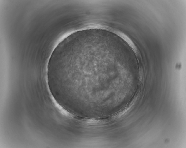 X0000094811439200711301542