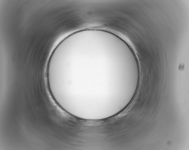 X0000094811440200711301542