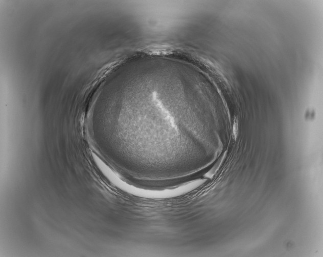 X0000094811444200711301541