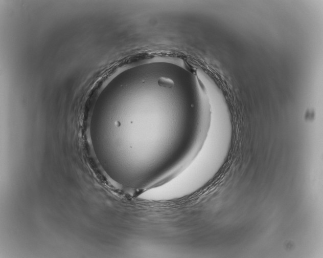 X0000094811445200711301541