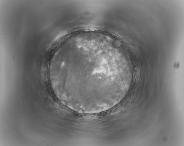 X0000094811446200711301541