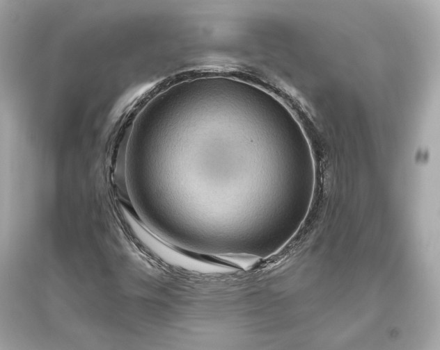 X0000094811448200711301541