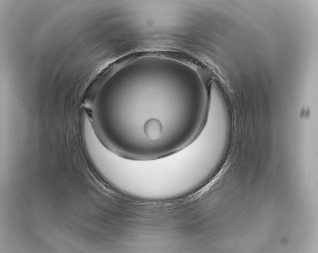 X0000094811449200711301541