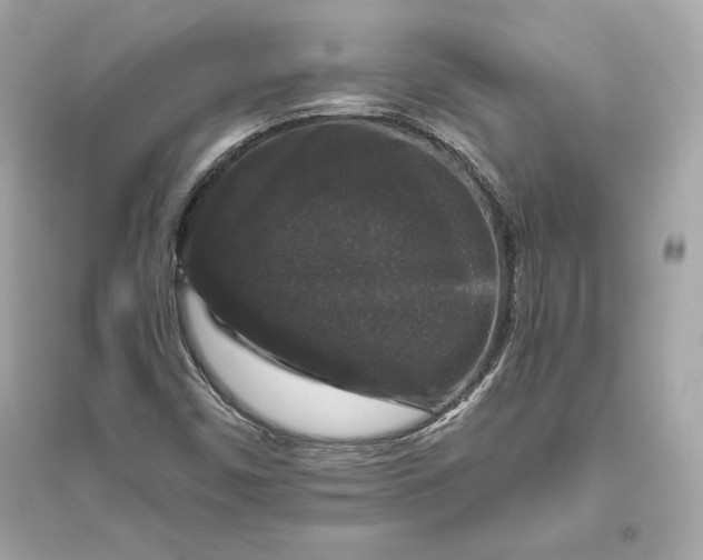 X0000094811450200711301541