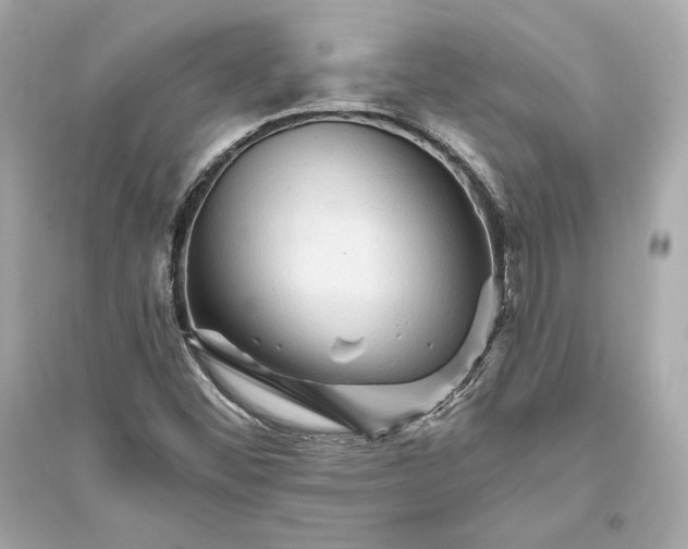 X0000094811452200711301541