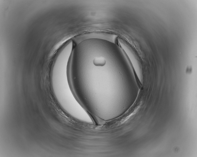 X0000094811453200711301541