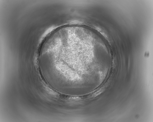 X0000094811454200711301541