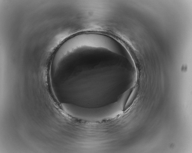 X0000094811455200711301541