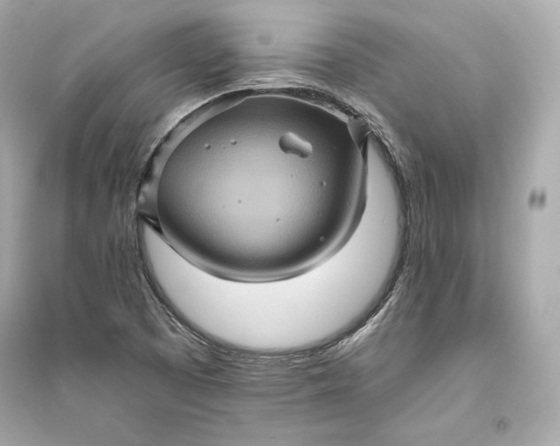 X0000094811457200711301541