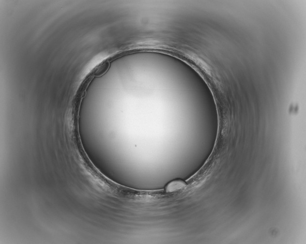 X0000094811458200711301541