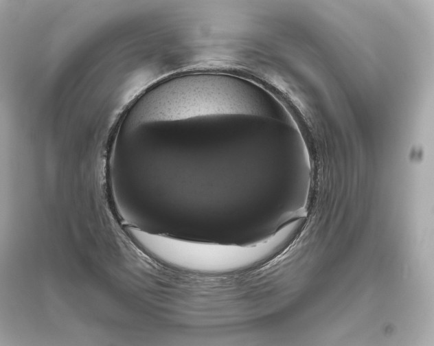 X0000094811459200711301541