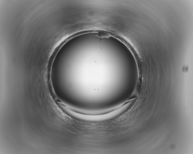 X0000094811460200711301541