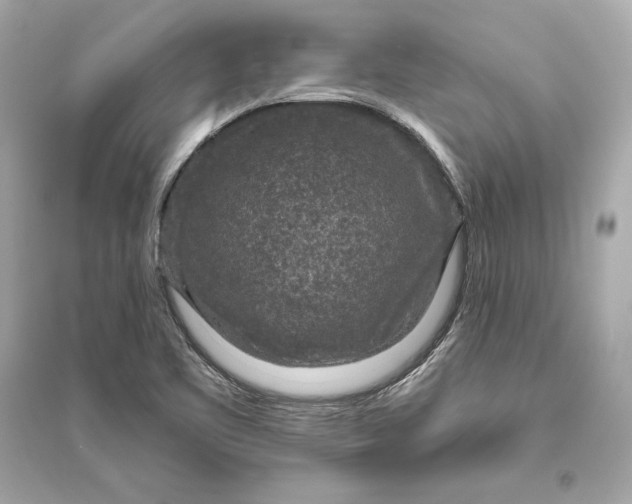 X0000094811461200711301541