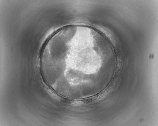 X0000094811462200711301541