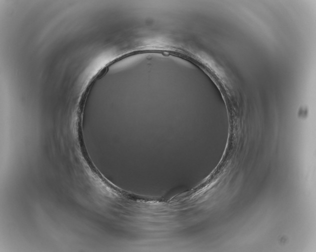 X0000094811463200711301541