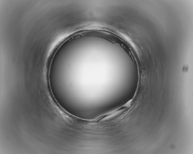 X0000094811464200711301541