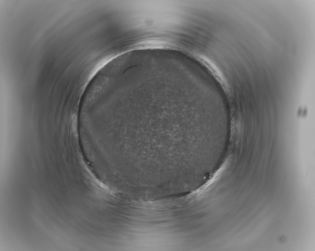 X0000094811465200711301541