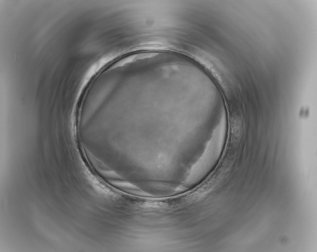 X0000094811466200711301541