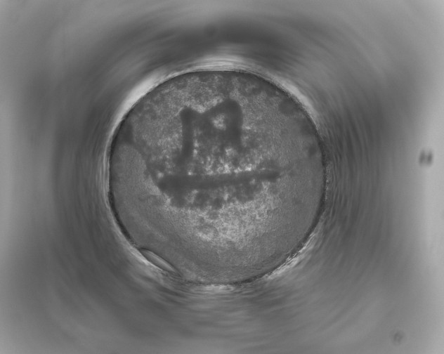 X0000094811467200711301541