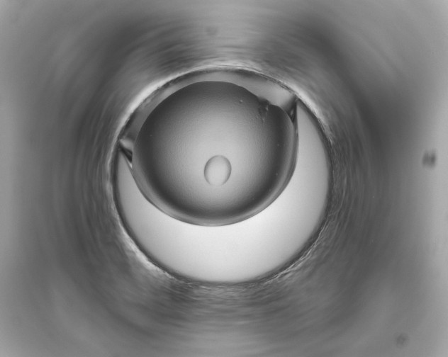 X0000094811468200711301541