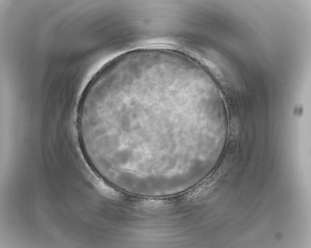 X0000094811470200711301541