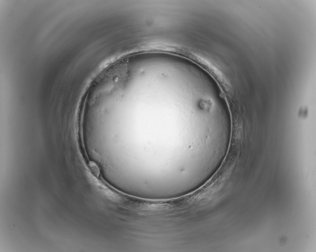 X0000094811471200711301541