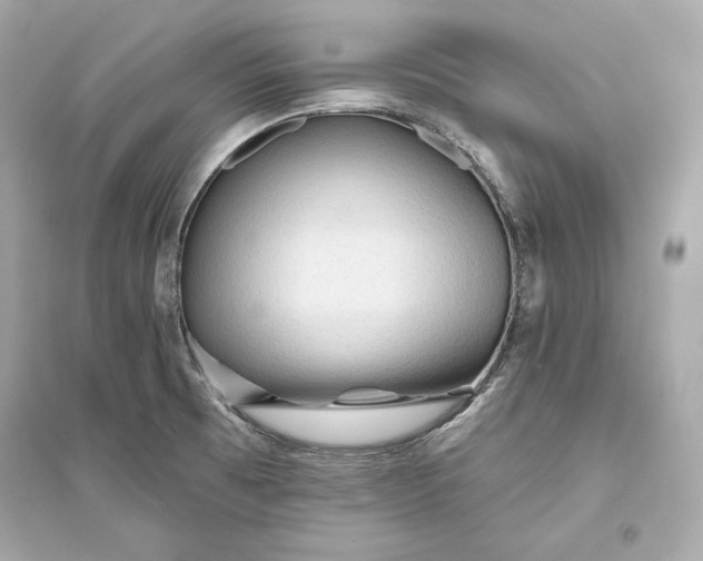 X0000094811473200711301541