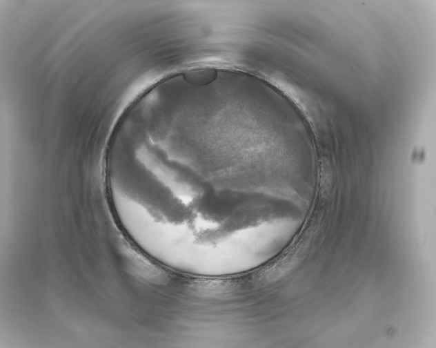 X0000094811474200711301541