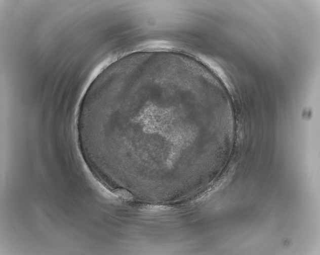 X0000094811475200711301541