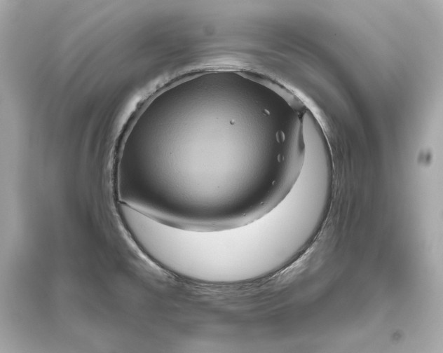 X0000094811477200711301541