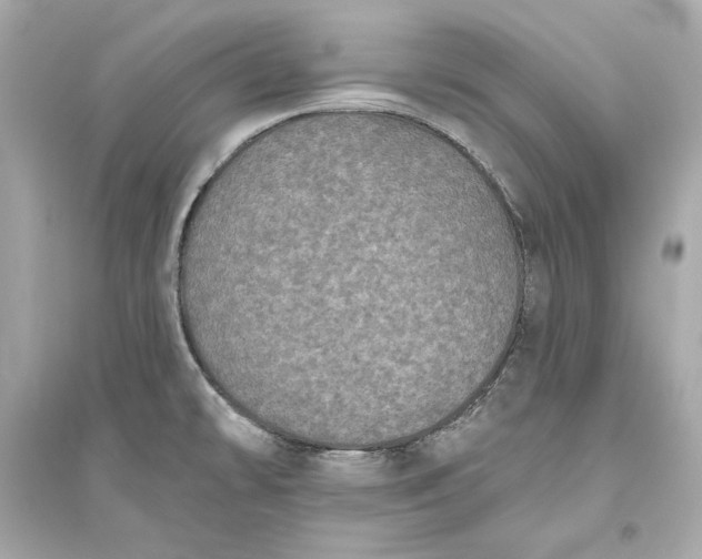 X0000094811478200711301540