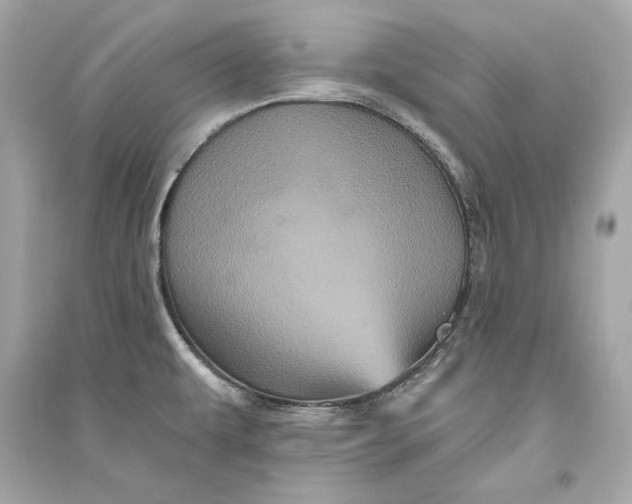 X0000094811479200711301540