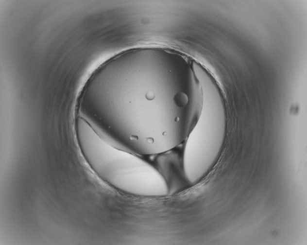 X0000094811480200711301540