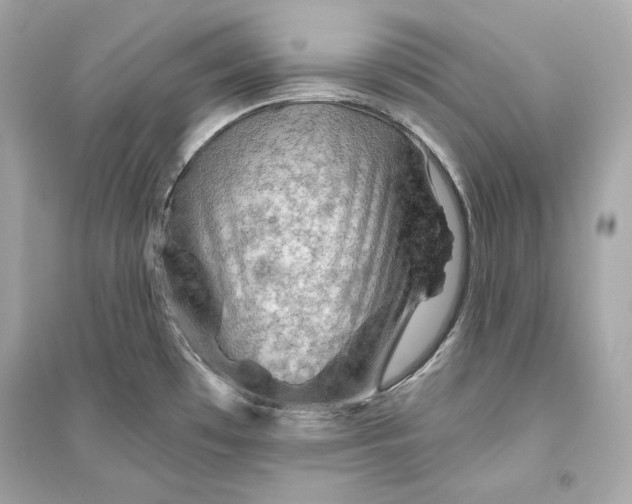 X0000094811481200711301540