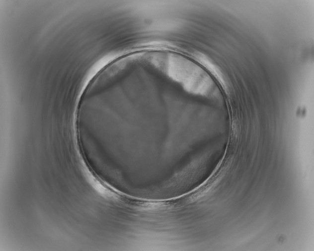 X0000094811482200711301540