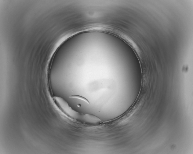 X0000094811483200711301540